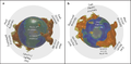 Earth-blobs-north-south-poles-llsvp-3d (1).png